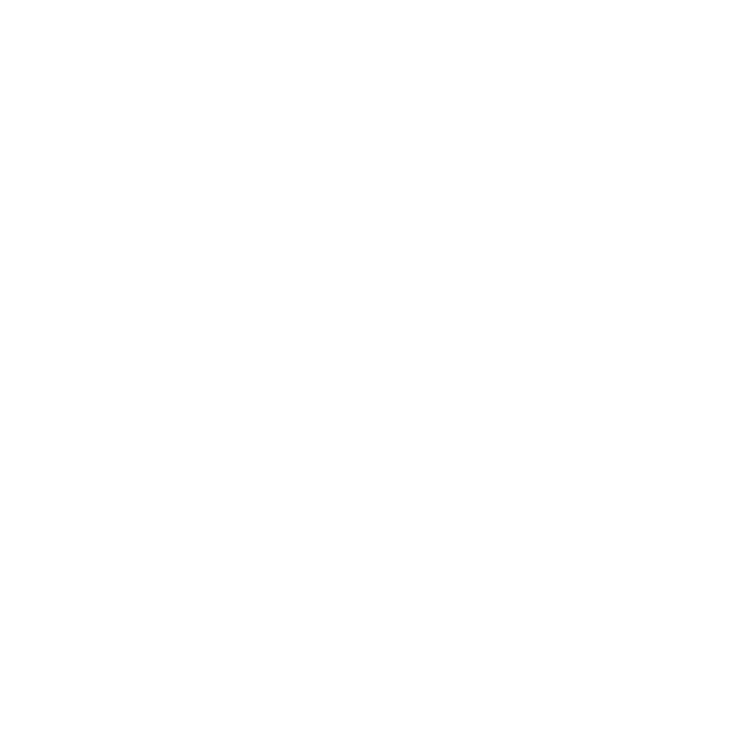 logo light