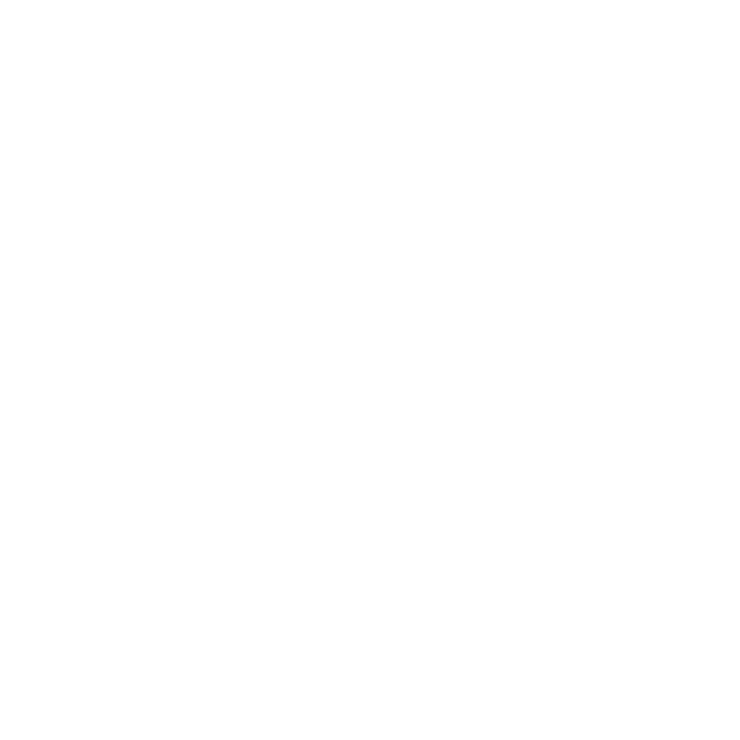 logo light
